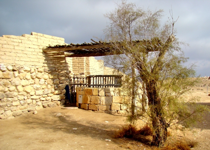 Beersheba_Well_Tree_DSC04473