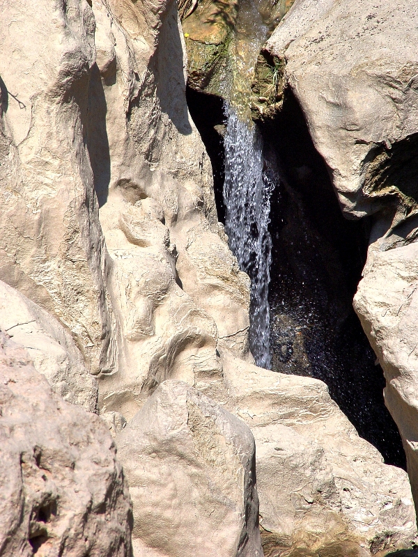 Colossae Refreshing Water_DSC02908