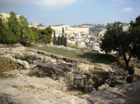 DSC03525. Photo by Leon Mauldin