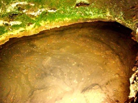 Megiddo Spring_DSC09688_LM