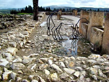 Megiddo Stables_LM_DSC09675