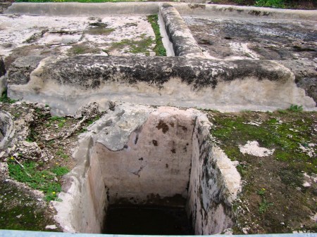 Winepress Tel Qasile_DSC05814LMauldin