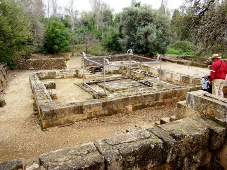 Dan High Place Altar_DSC01958