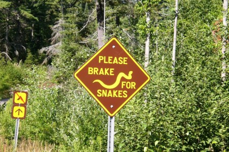 French River Snake Sign_CIMG6520LMauldin