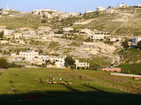 Tekoa_DSC00481_LMauldin