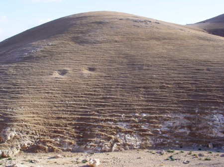 Trails worn by sheep & goats Judean desert_DSC04145LMauldin - Copy