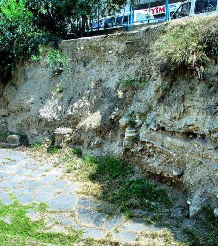 Tarsus_DSC05566LMauldin