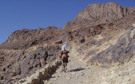 Sinai_DSC00853LMauldin