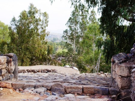 Gate at Geshur_Bethsaida_DSC02602LMauldin
