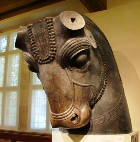 Bull Perseoplis_DSC00082LMauldin