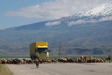 Ararat Traffic Jam DSC_9784LMauldin