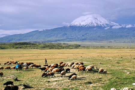 Ararat_DSC_9650LMauldin