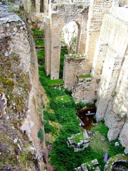 Southern Pool of Bethesda. Setting of John 5. Photo by Leon Mauldin.