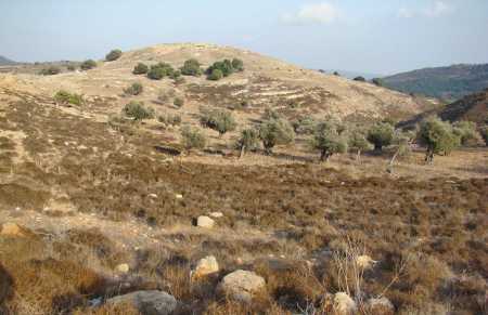 Site of ancient Yodfat. Photo by Leon Mauldin.
