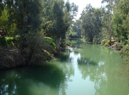 Trees growing along the banks of Jordan. Photo by Leon Mauldin.