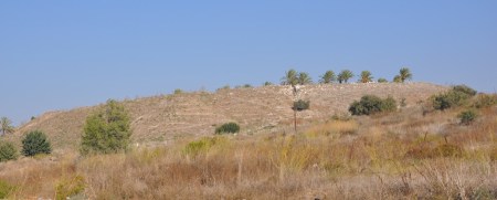 Tel Megiddo. Photo by Leon Mauldin.