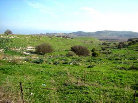 Kedesh in Galilee. One of the cities of Refuge. Photo by Leon Mauldin.