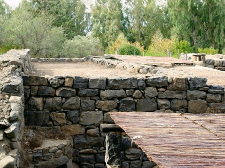 Housetop at Katzrin in the Golan. Photo by Leon Mauldin.