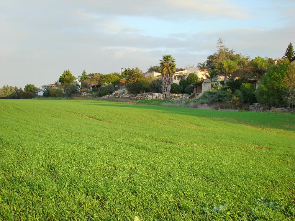 Pasture in Bethlehem. Photo by Leon Mauldin.