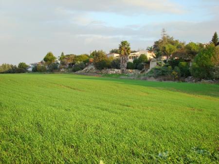 Pasture in Bethlehem. Photo by Leon Mauldin.
