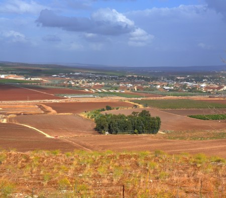 Jezreel Spring. Note greenery at center. Tel Jezreel is in foreground. Photo by Leon Mauldin.