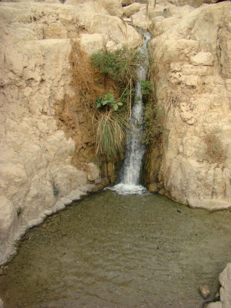 Waterfall at Engedi. Photo by Leon Mauldin.