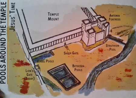 Pools of Jerusalem. Shows area north of temple mount. Photo by Leon Mauldin.
