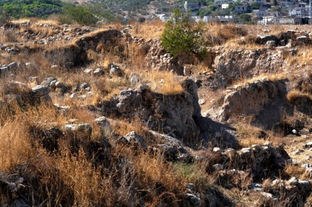 Excavations at Tirzah. Photo ©Leon Mauldin.